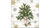 Decorated Branches karácsonyi papírszalvéta 33x33cm 20db-os Papírszalvéta Ambiente   