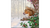 Squirrel in tree karácsonyi papírszalvéta 33x33cm 20db-os Papírszalvéta Ambiente   