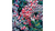 Frozen berries karácsonyi papírszalvéta 33x33cm 20db-os Papírszalvéta Ambiente   